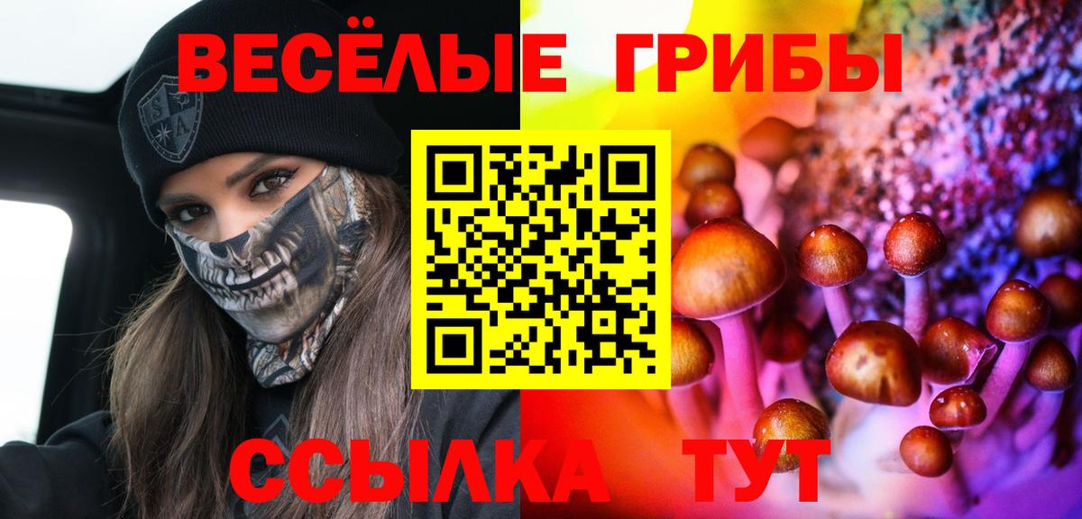Галлюциногенные грибы GOLDEN TEACHER  как найти закладки  Чусовой  Вход с VPN 